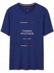 Tommy Hilfiger T-Shirts (113b)