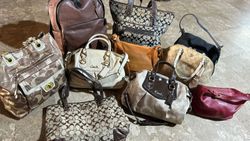 Coach-Handtaschen