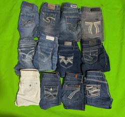 SILVER AND OTHER BRAND MINI MICRO SHORTS (09)