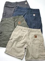 Carhartt and dickies short