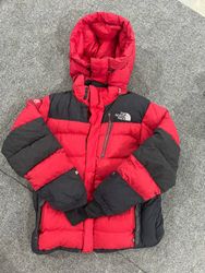 The North face puffers jacket