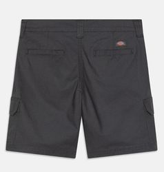 Dickies Cotton & Denim Shorts DS0013