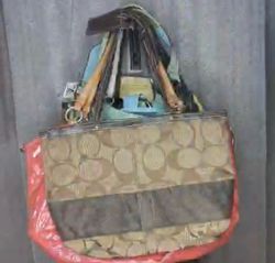 Coach Handbags