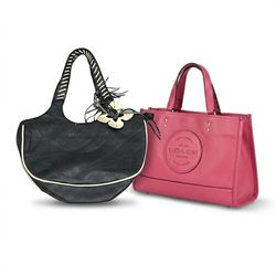 (FV-1485)     Y2K Colorful Shoulder Bag Bundle Vin..