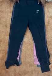 Gym shark leggings