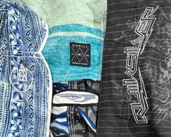 Surfwear Shorts Branded (611)