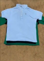 Lacost Tshirt
