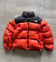 The north face jacket