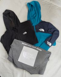 Premium the north face hoodie