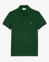 polo Lacoste t-shirts C grade