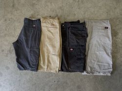 Dickies Shorts