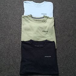 Patagonia T Shirt