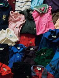 Lacoste t shirt