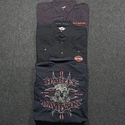 Harley Davidson Shirts
