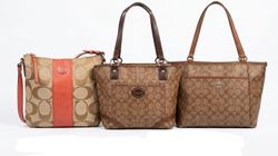 Coach Bags - Check grading