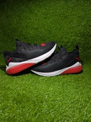 Premium Brands Shoes
