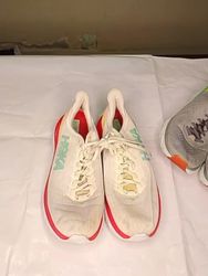 Hoka One Shoes