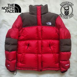 The north face puffer jacket