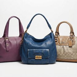 Coach Bags -Check Grading