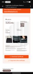 Luxury Authentic Bag