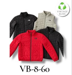 Y2k The North Face Puffers jackets 10 pieces (VB-8..