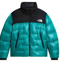 The North Face TNF Puffer 550,700,Hyvent Series(00..