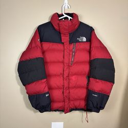 Die North face Pufferjacken (700,800)