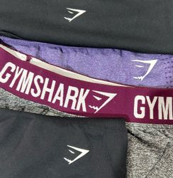 Gym shark Shorts (1191)