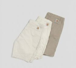 PREMIUM BRAND CARHARTT SHORTS 🩳