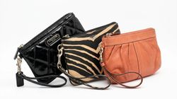 Coach Pouches