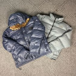 The north face puffer (cv 267)