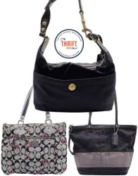 Premium Coach Bags LX529