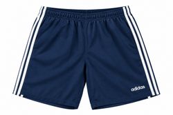 Vintage Nike & Adidas Athletic Shorts 10 PCs