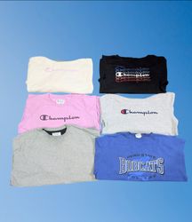 Premium Champion sweatshirt ⚜️