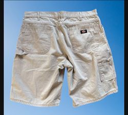 Dickies short