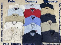 Polo Tommy Lacoste Harrington Jacket