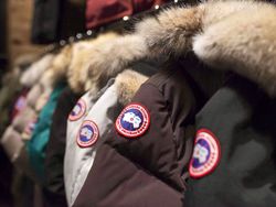 Canada Goose Parkas and Gilet