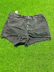 Levi's Shorts (EV/8)