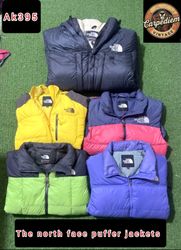 The north face puffer jacket ak395