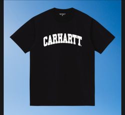 Carhartt authentic t shirt