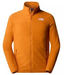 The North Face Fleece Jackets