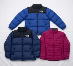 The north face puffer jacket 6 piece