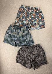 Patagonia Shorts