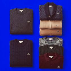 Besondere Premium Lacoste-Pullover
