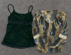 Y2k Blouse (1488)