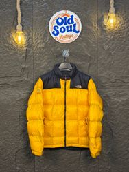 North Face Puffer | Mixed with 700-800 Series | OS..