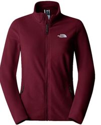 The North Face TNF Fleece Jackets(0009)