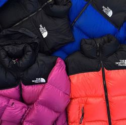 Premium ⚜️ the north face puffer jacket