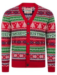 Christmas novelty and festive sweater