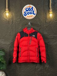 Die North Face Puffers